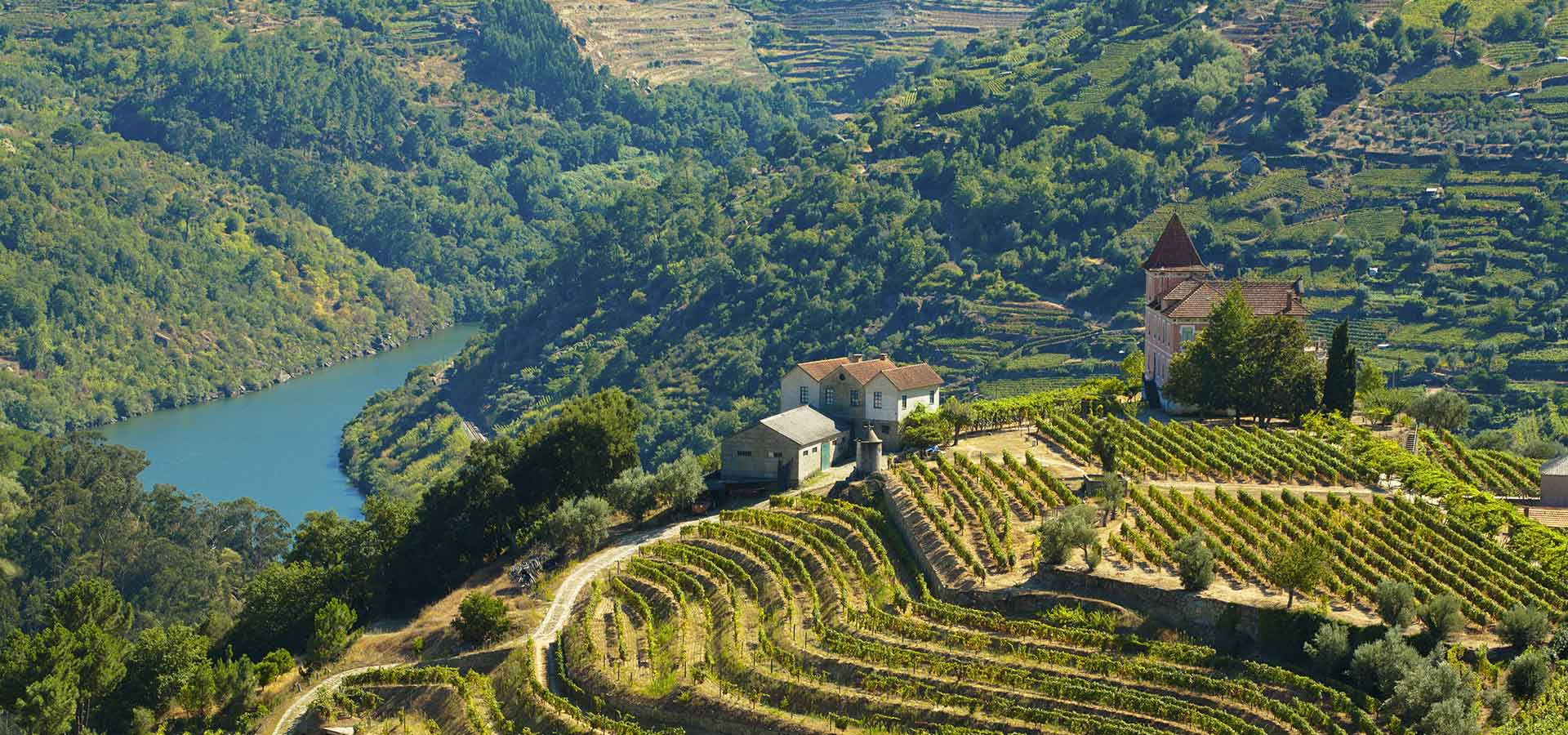 Voyage-Europe-Portugal-Vallee-Douro